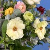 19 ярких полевых ранункулюсов с эвкалиптом