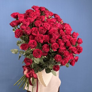 21 кустовая пионовидная роза Ред Трендсеттер 60 см