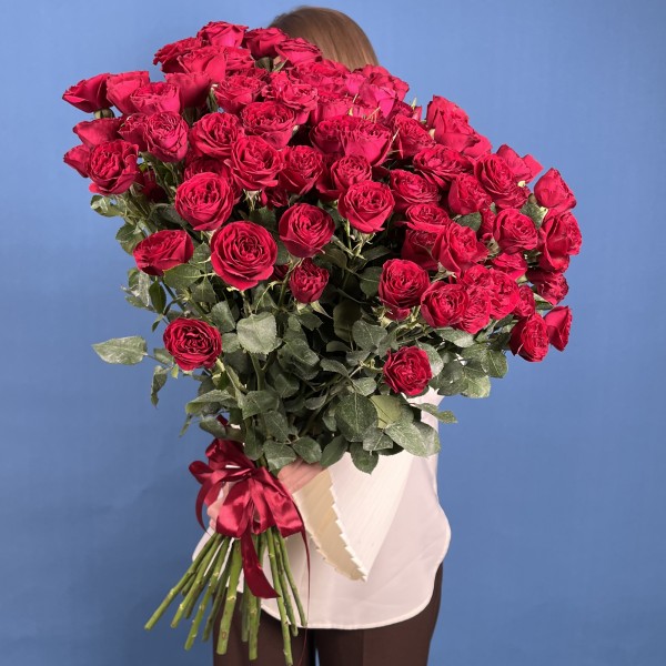 21 кустовая пионовидная роза Ред Трендсеттер 70 см