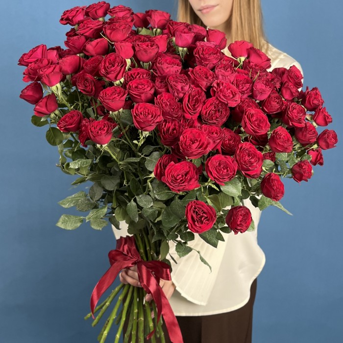 Кустовая пионовидная роза Ред Трендсеттер 60 см