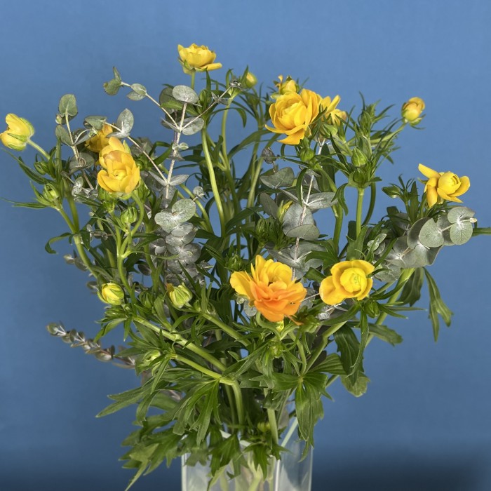 5 ярких желтых полевых ранункулюсов с эвкалиптом