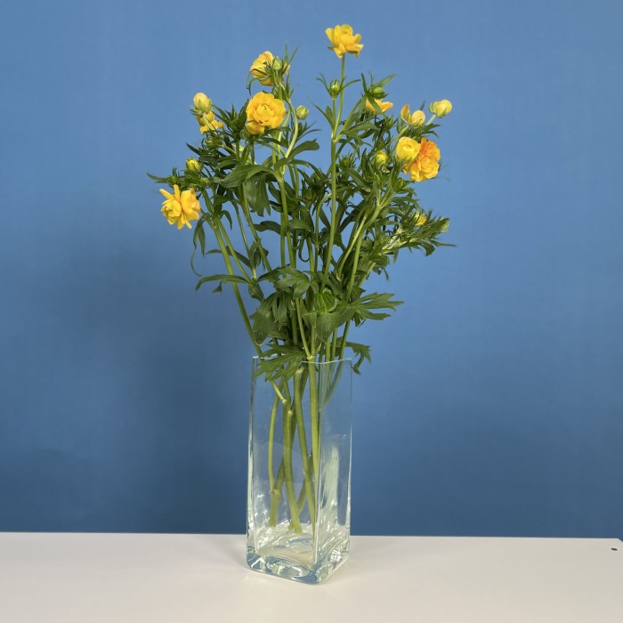 5 ярких желтых полевых ранункулюсов