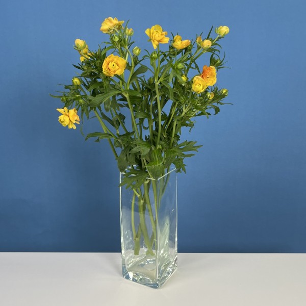 5 ярких желтых полевых ранункулюсов