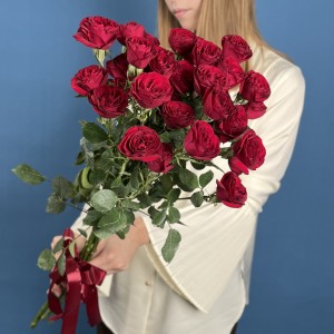 5 кустовых пионовидных роз Ред Трендсеттер 70 см