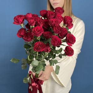 5 кустовых пионовидных роз Ред Трендсеттер 60 см