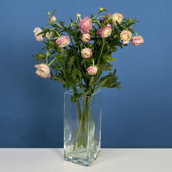 7 розовых полевых ранункулюсов