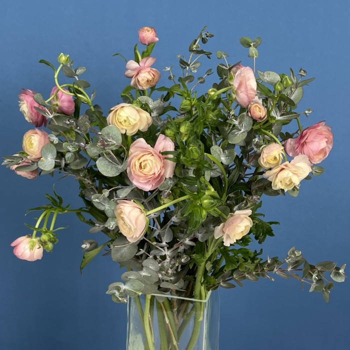 7 розовых полевых ранункулюсов с эвкалиптом