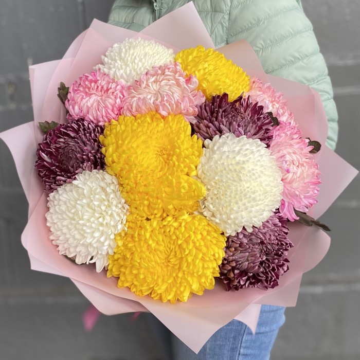 13 крымских хризантем микс