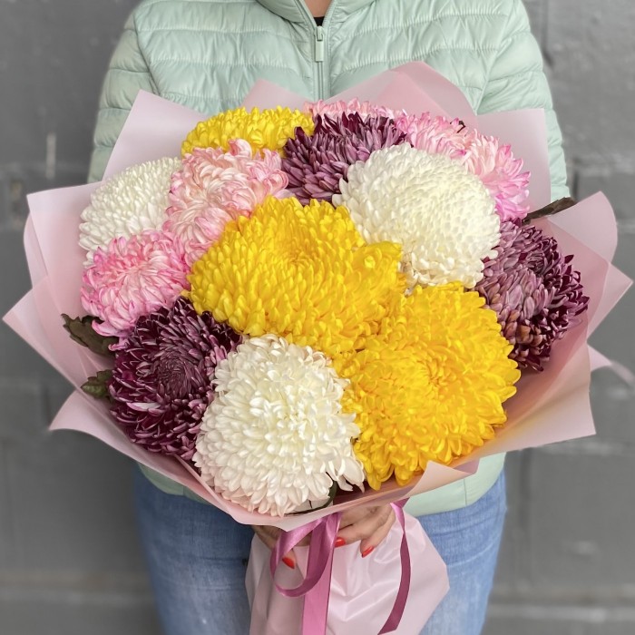 13 крымских хризантем микс