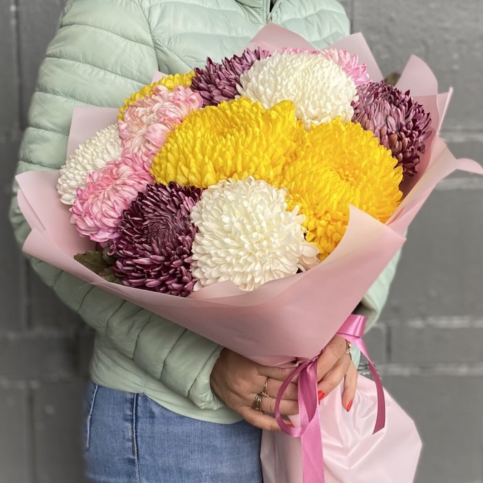 13 крымских хризантем микс