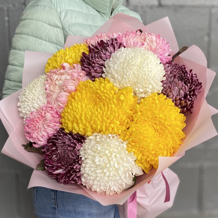 13 крымских хризантем микс