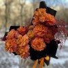 13 оранжевых роз Фри Спирит с аспарагусом 50 см