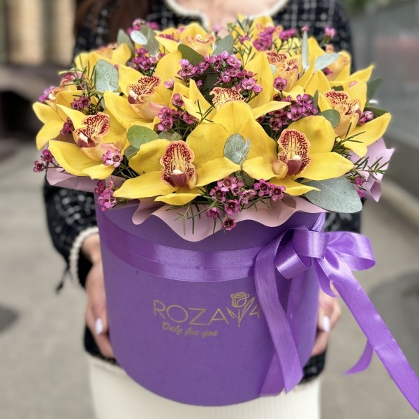 13 желтых орхидей Цимбидиум с шамелациумом в коробке