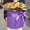 13 желтых орхидей Цимбидиум с шамелациумом в коробке
