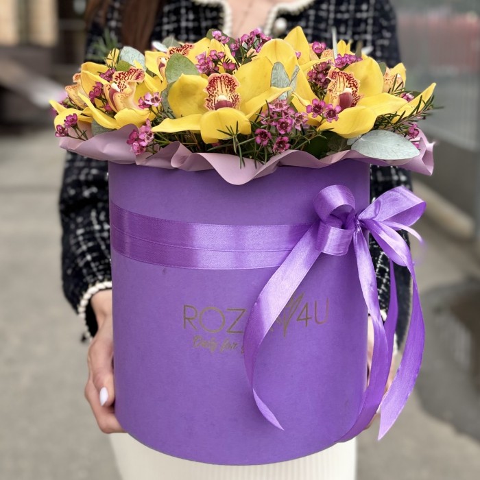 13 желтых орхидей Цимбидиум с шамелациумом в коробке