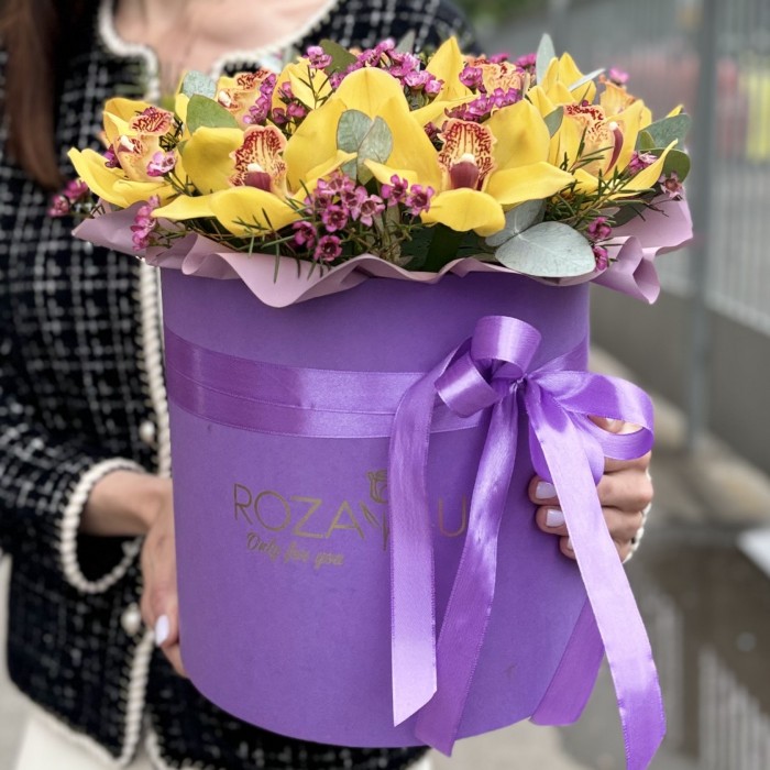 13 желтых орхидей Цимбидиум с шамелациумом в коробке