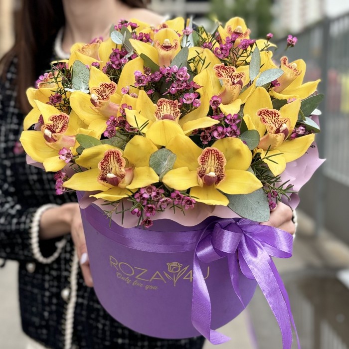 13 желтых орхидей Цимбидиум с шамелациумом в коробке