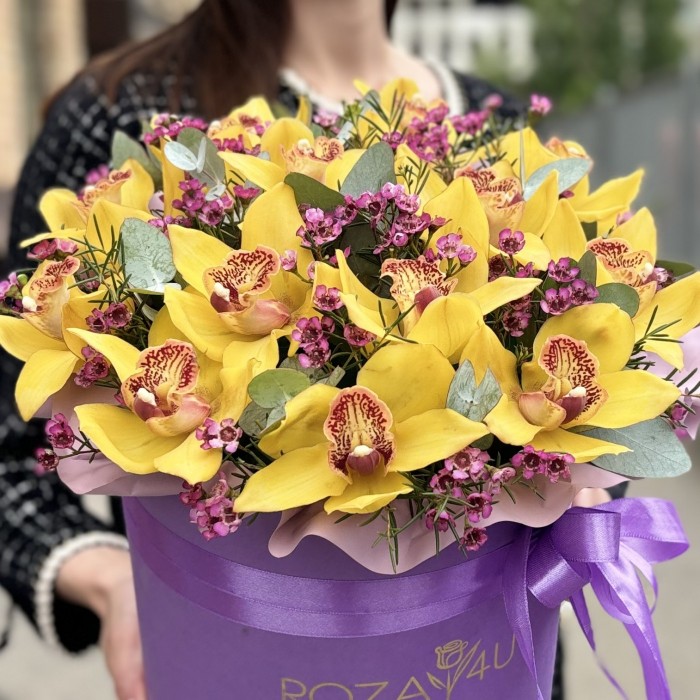 13 желтых орхидей Цимбидиум с шамелациумом в коробке