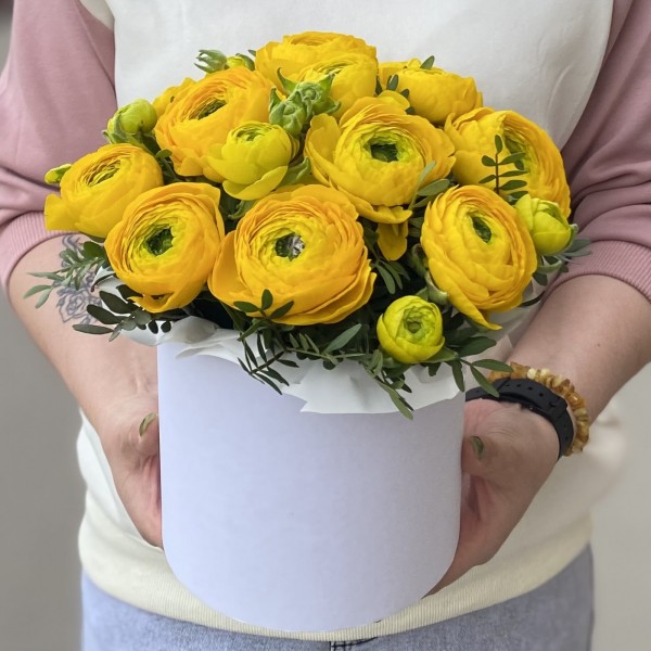 13 желтых ранункулюсов в коробке