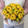 13 желтых ранункулюсов в коробке