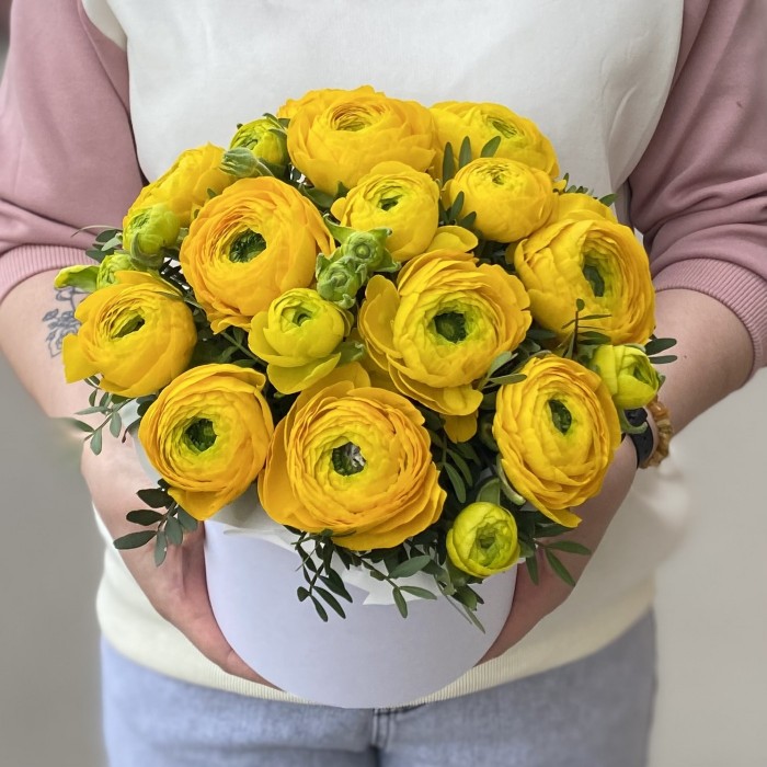 13 желтых ранункулюсов в коробке