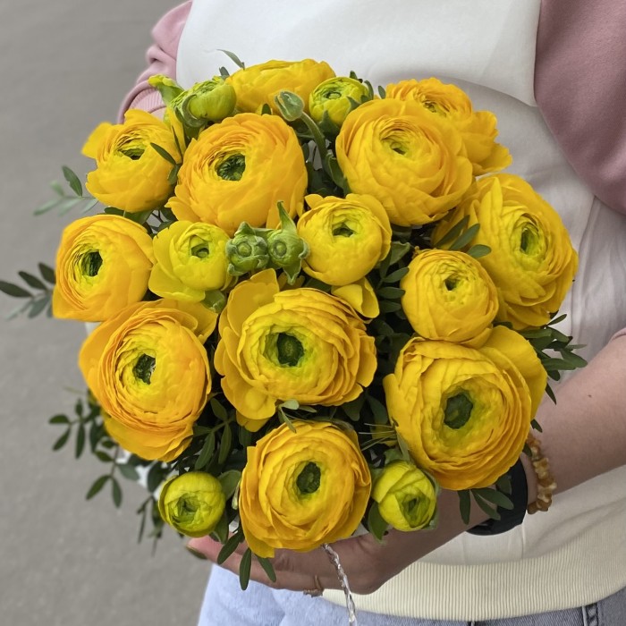 13 желтых ранункулюсов в коробке