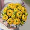 13 желтых ранункулюсов в коробке