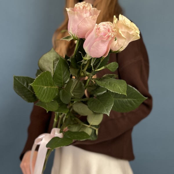 3 розы Пинк Мондиаль 50 см