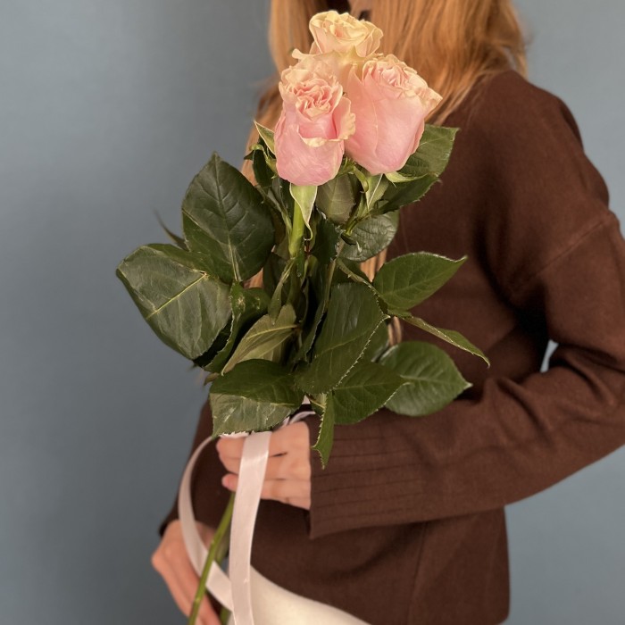 3 розы Пинк Мондиаль 50 см