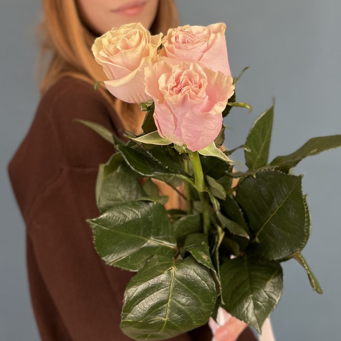 3 розы Пинк Мондиаль 50 см