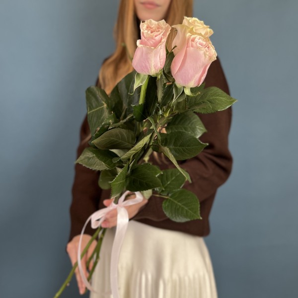 3 розы Пинк Мондиаль 60 см