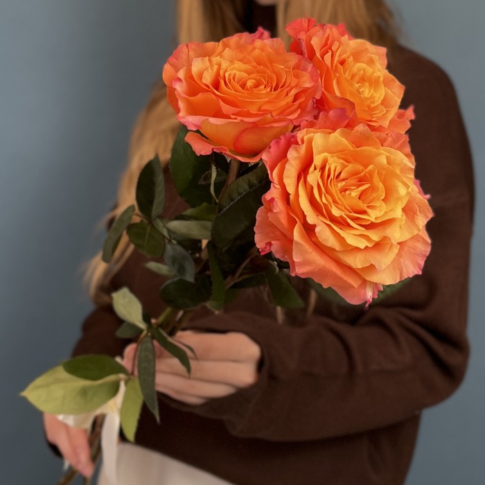 3 розы Фри Спирит 50 см