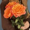 3 розы Фри Спирит 50 см