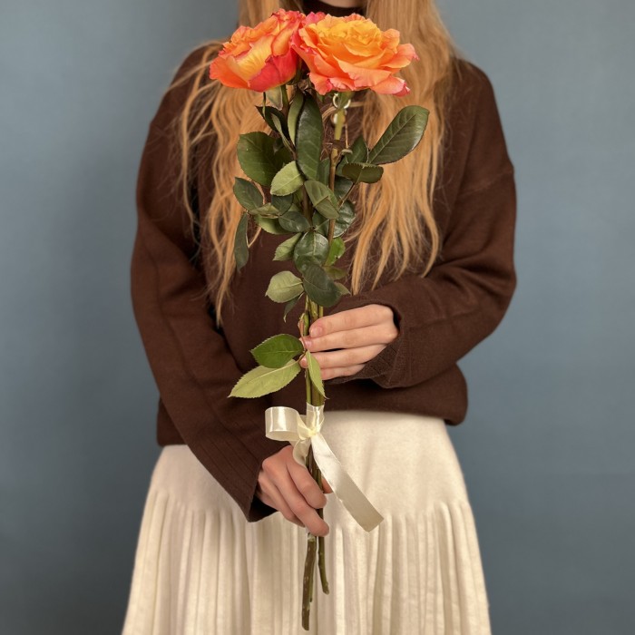 3 оранжево-розовые розы Фри Спирит 60 см