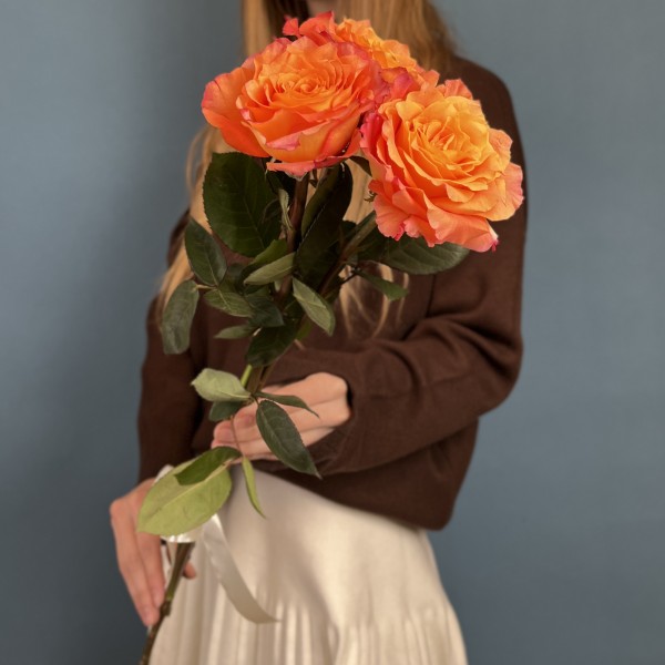 3 оранжево-розовые розы Фри Спирит 60 см