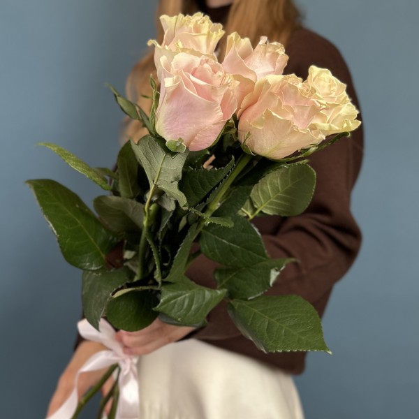 5 роз Пинк Мондиаль 50 см