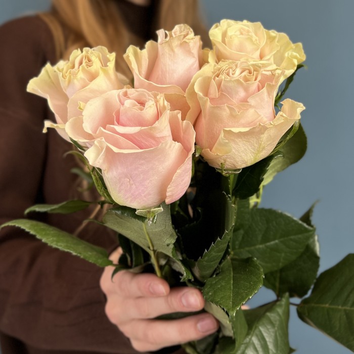 5 роз Пинк Мондиаль 50 см