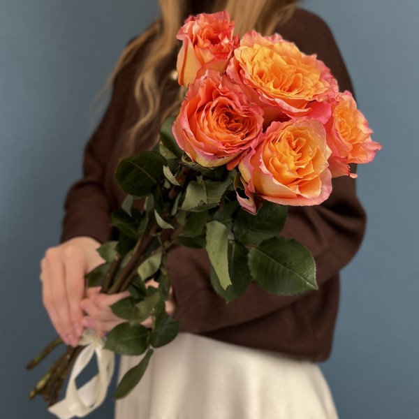 5 роз Фри спирит 50 см