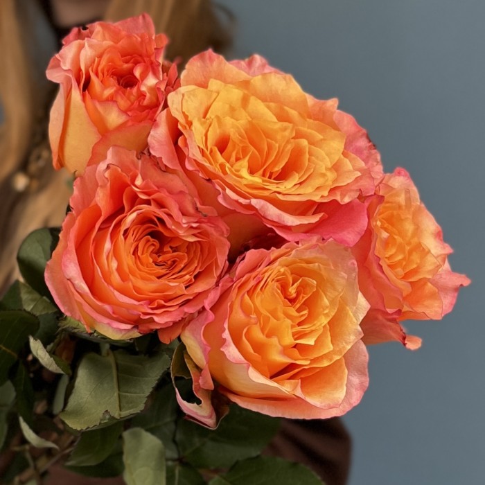 5 роз Фри спирит 50 см