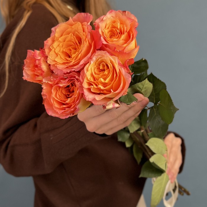 5 оранжево-розовых роз Фри спирит 60 см