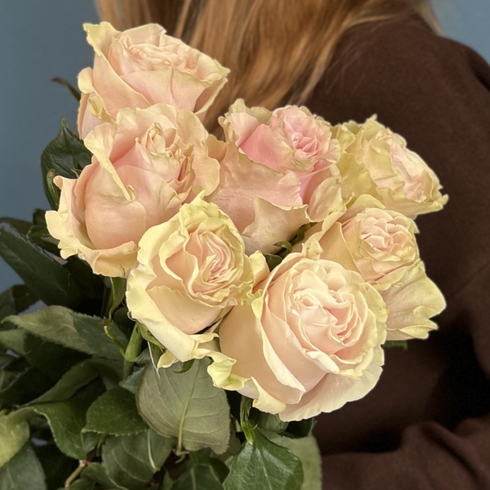 7 роз Пинк Мондиаль 60 см