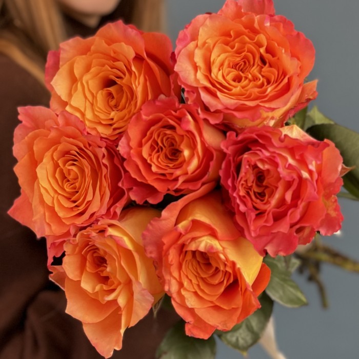 7 оранжево-розовых роз Фри спирит 60 см