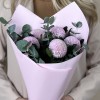5 розовых хризантем Помпон с эвкалиптом