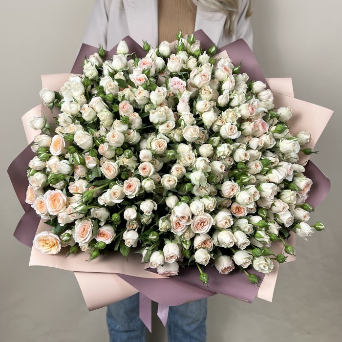 51 кустовая кремовая роза Сансер 60 см