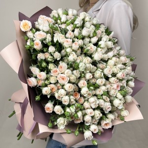 51 кустовая кремовая роза Сансер 60 см