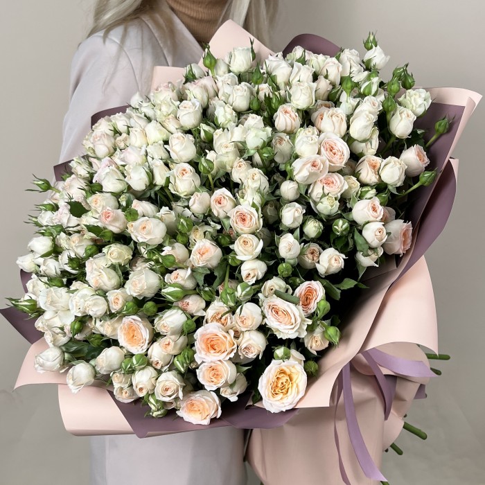 51 кустовая кремовая роза Сансер 60 см