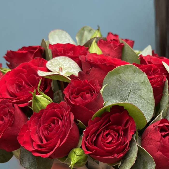 5 красных кустовых роз Рубикон с эвкалиптом в коробке