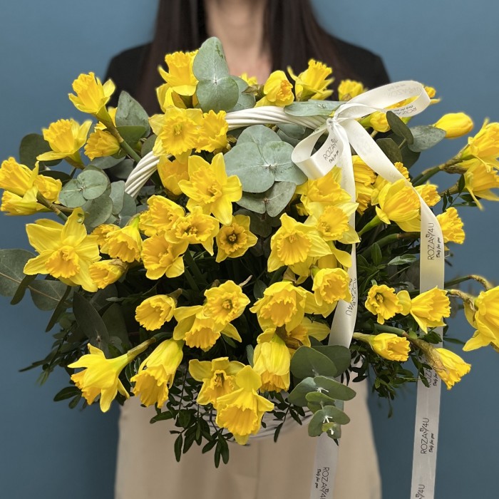 75 ароматных нарциссов в корзине