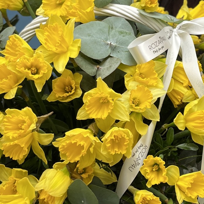 75 ароматных нарциссов в корзине
