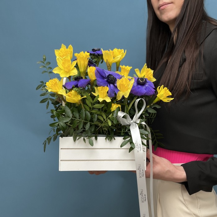 Весенняя композиция нарциссы с анемонами